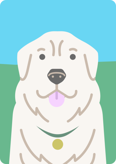 dog